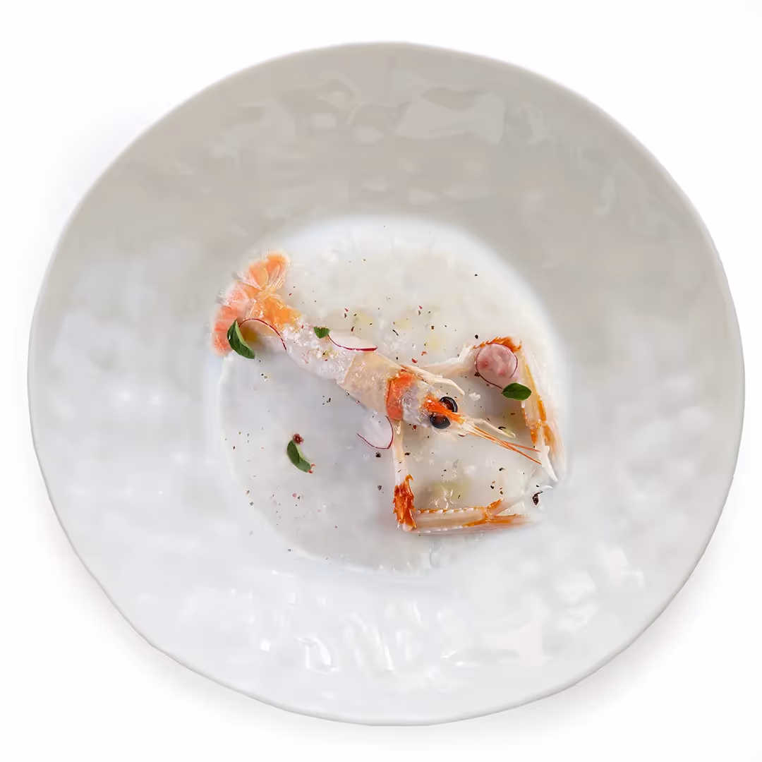 Carpaccio di Scampo di Mazara