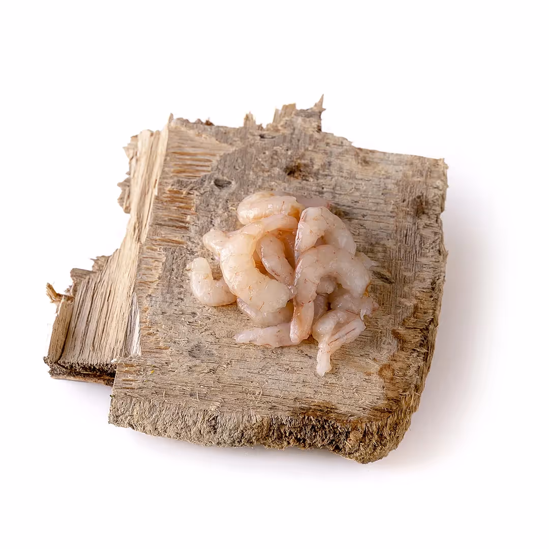 Crostacei sgusciati rosso · viola · rosa