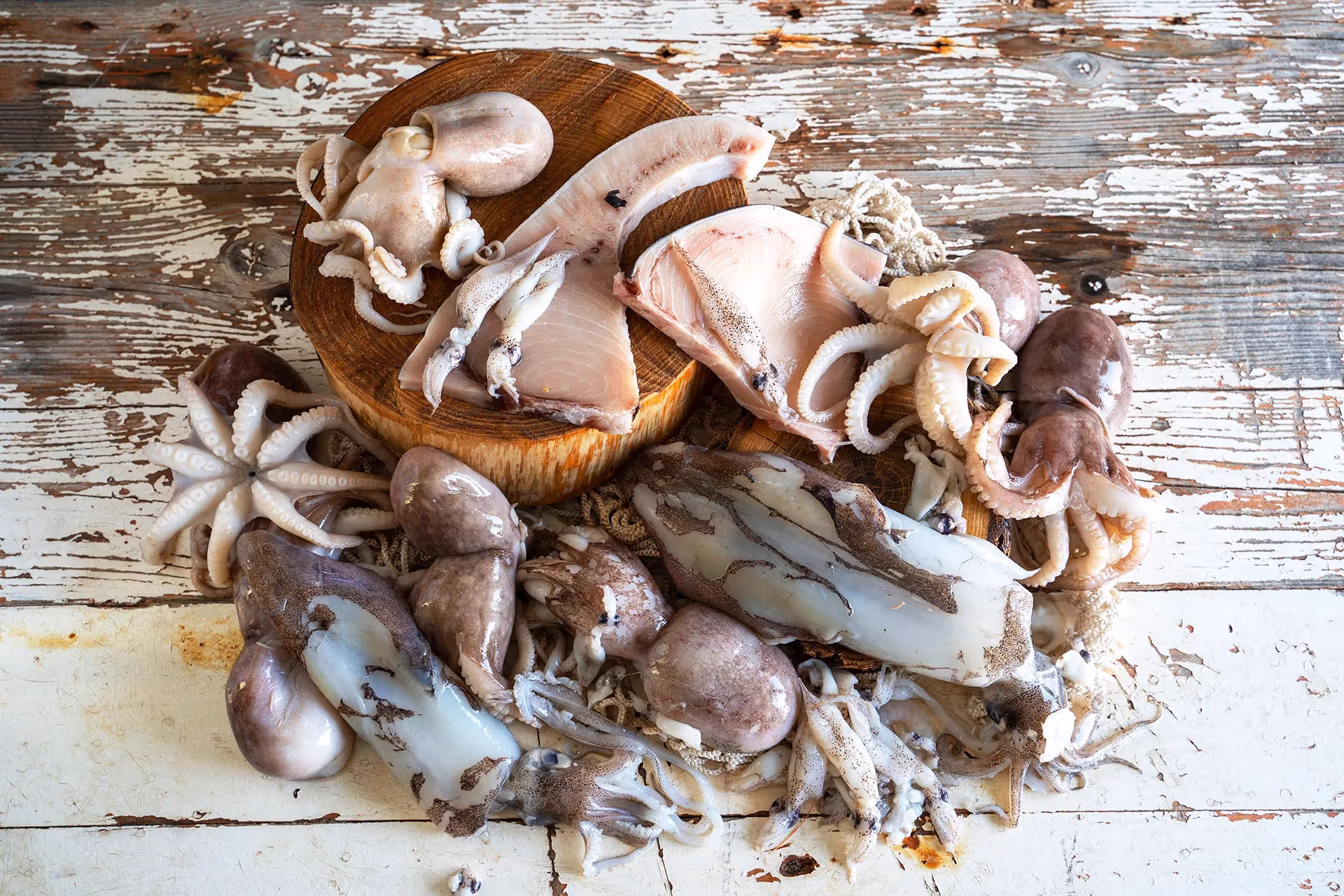 Pescato azzurro e molluschi del Mediterraneo